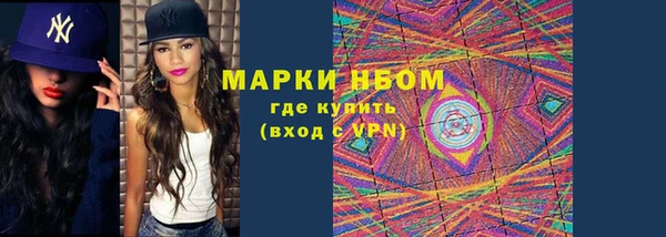 шишки Богданович